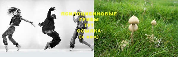 гидропоника Абаза