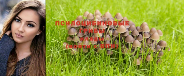 гидропоника Абаза