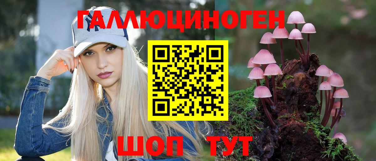 Псилоцибиновые грибы Psilocybine cubensis Тольятти