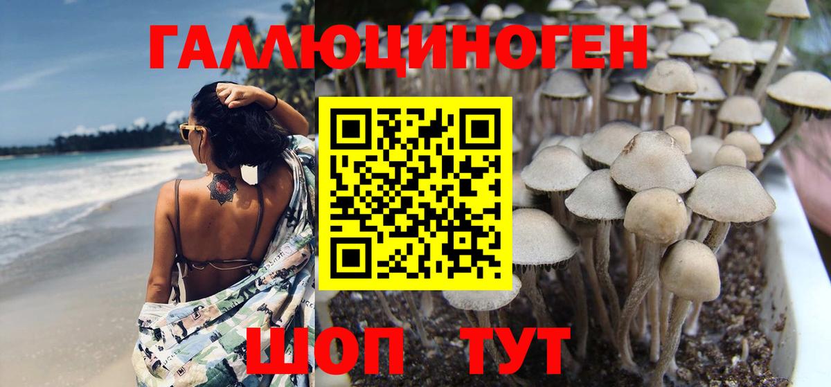 Тольятти  Псилоцибиновые грибы мухоморы  Вход с VPN  Галлюциногенные грибы ЛСД 