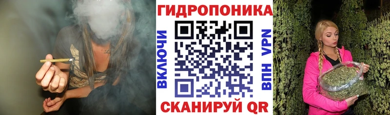 Шишки марихуана SATIVA & INDICA  Тольятти 
